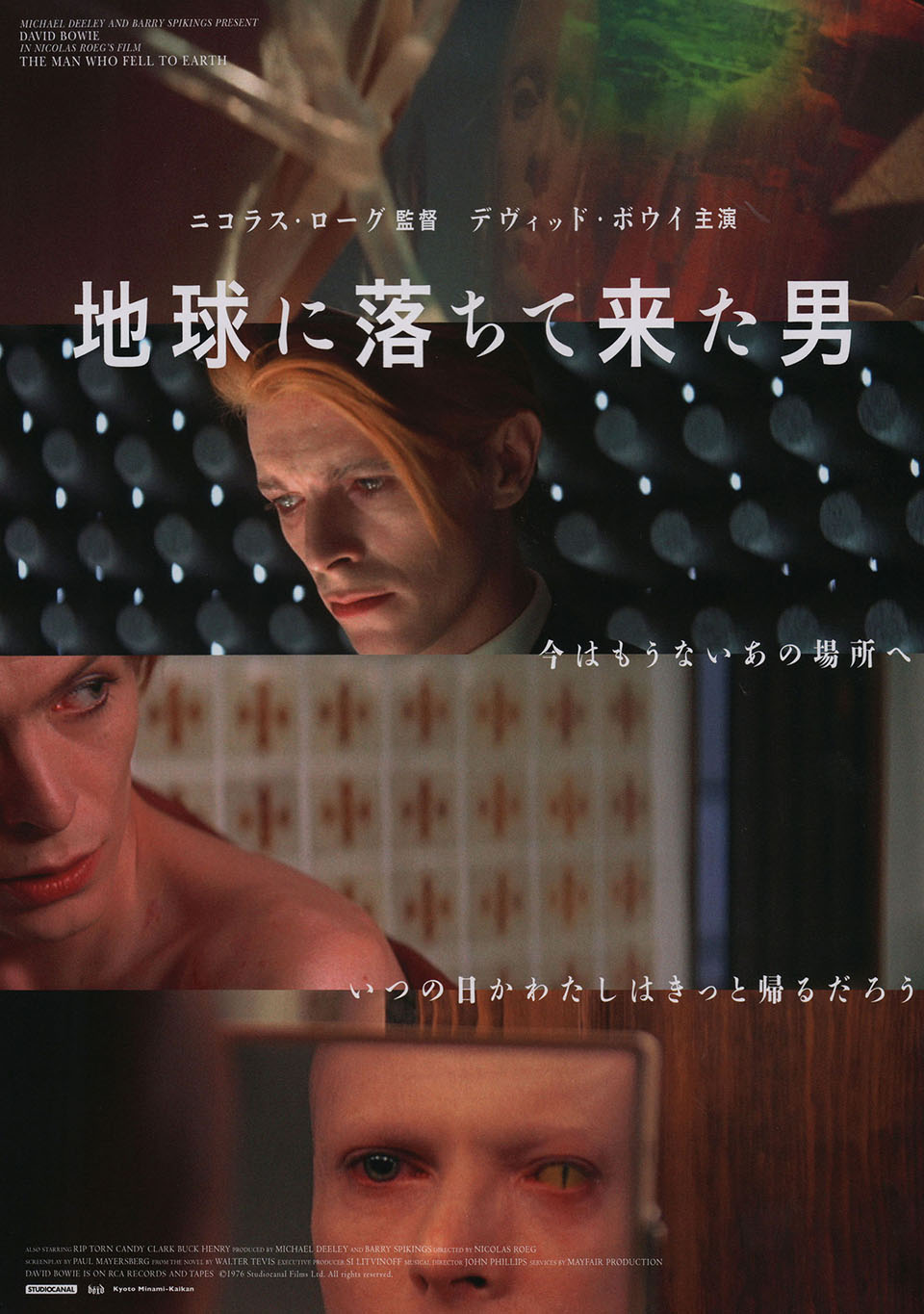 The Man Who Fell to Earth