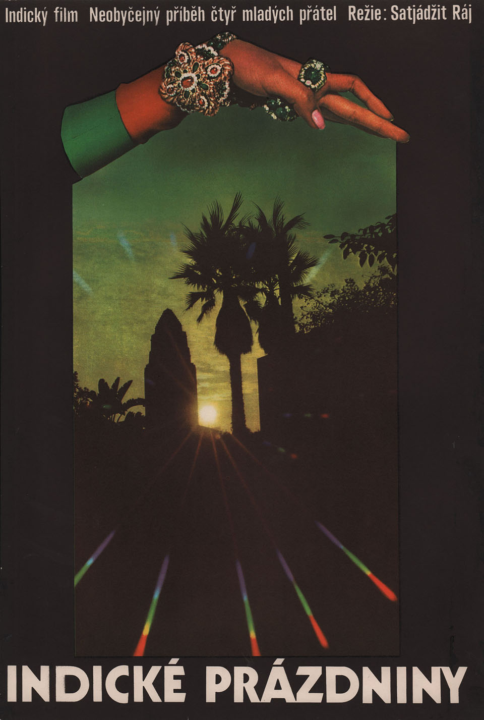 Days and Nights in the Forest