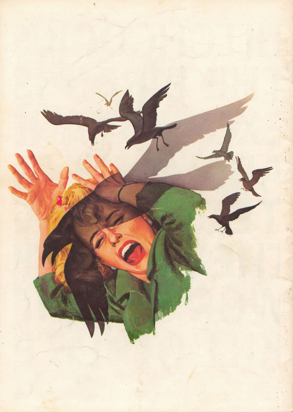 The Birds