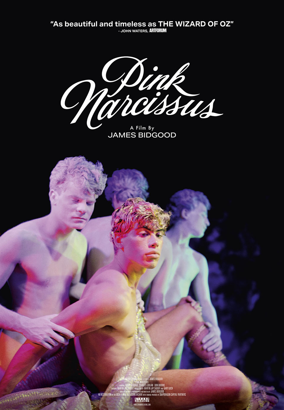 Pink Narcissus