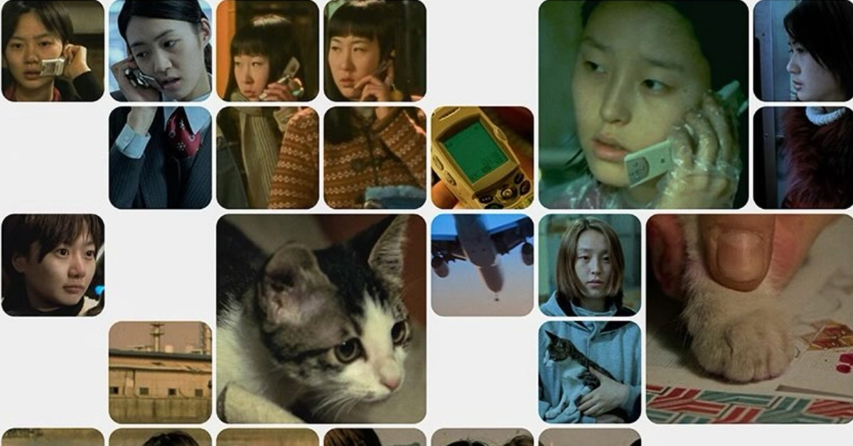 Take Care Of My Cat 25th Anniversary