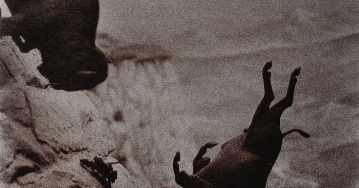 The Best Movie Posters of 2025