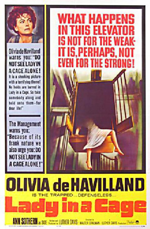 Lady in a Cage Original 1964 U.S. One Sheet Movie Poster