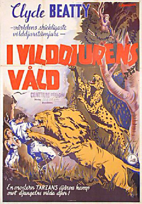 The Lost Jungle Original 1934 Swedish B1 Movie Poster