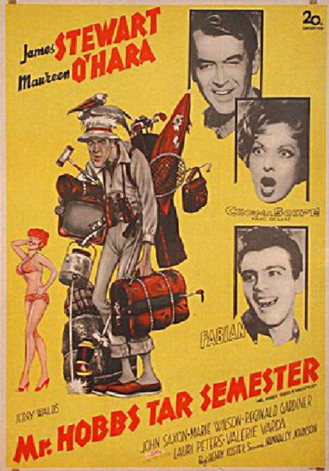Mr. Hobbs Takes a Vacation Original 1962 Swedish B1 Movie Poster