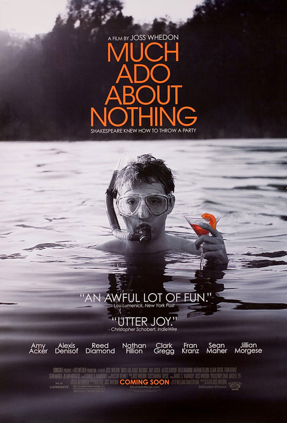 Much Ado About Nothing Original 2013 U.S. One Sheet Movie Poster