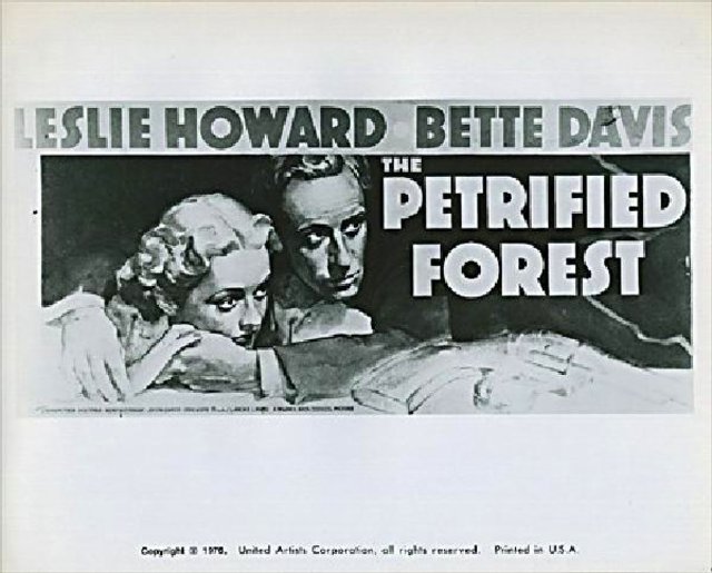 The Petrified Forest Original R1976 U.S. Silver Gelatin Single-Weight Photo