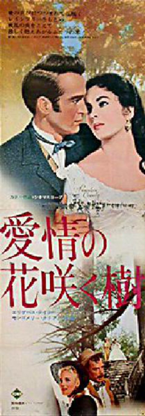 Raintree County Original R1968 Japanese STB Tatekan Movie Poster