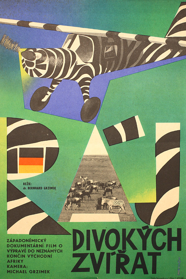 Serengeti Shall Not Die Original 1960 Czech A3 Movie Poster