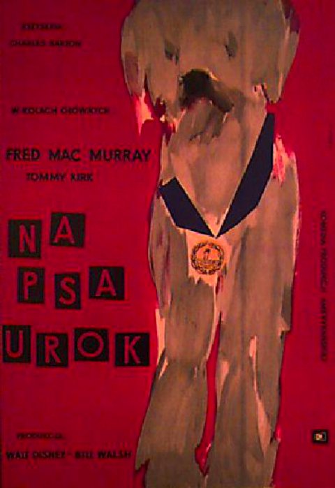 The Shaggy Dog Original 1961 Polish A1 Movie Poster
