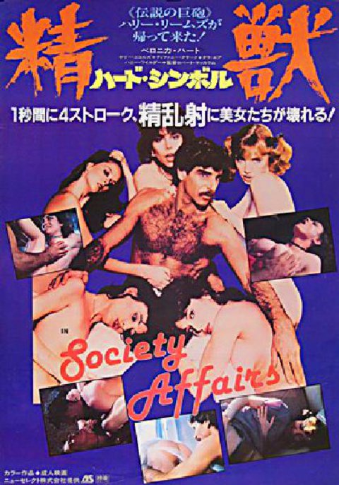 Society Affairs Original 1984 Japanese B2 Movie Poster