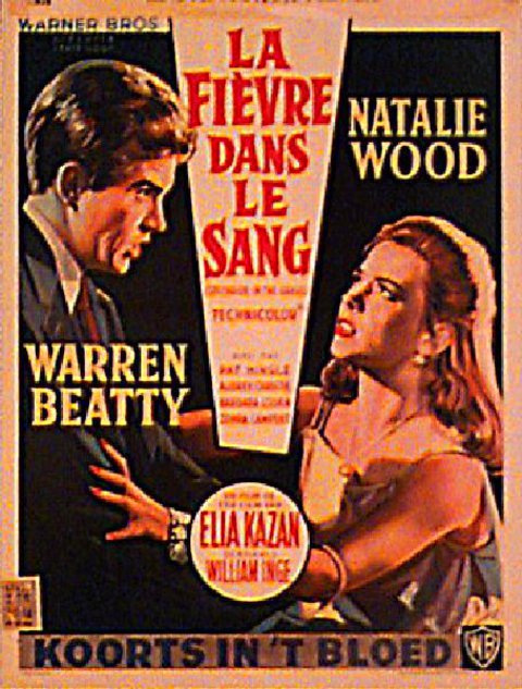 Splendor in the Grass Original 1961 Belgian Movie Poster