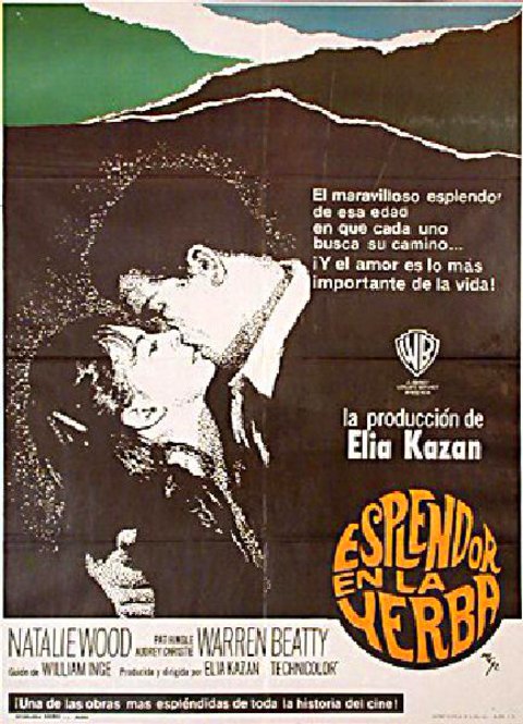 Splendor in the Grass Original R1971 Spanish B1 Movie Poster