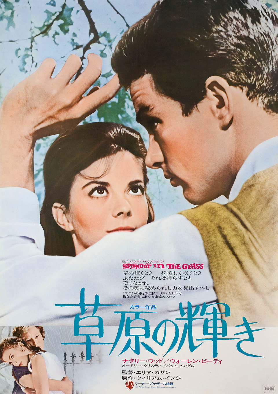 Splendor in the Grass Original R1972 Japanese B2 Movie Poster