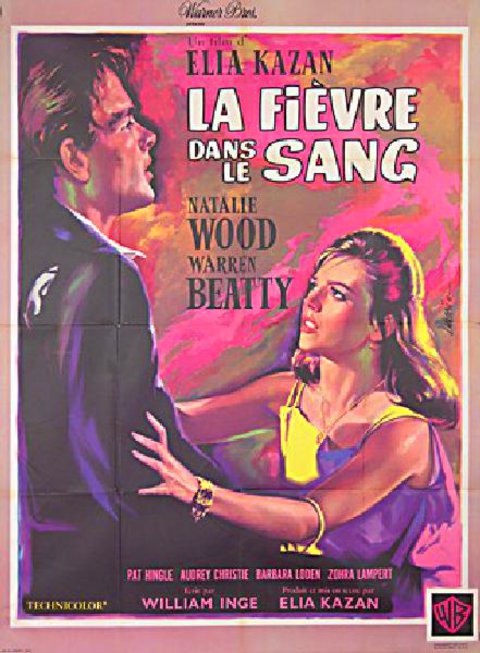 Splendor in the Grass Original 1961 French Grande Movie Poster