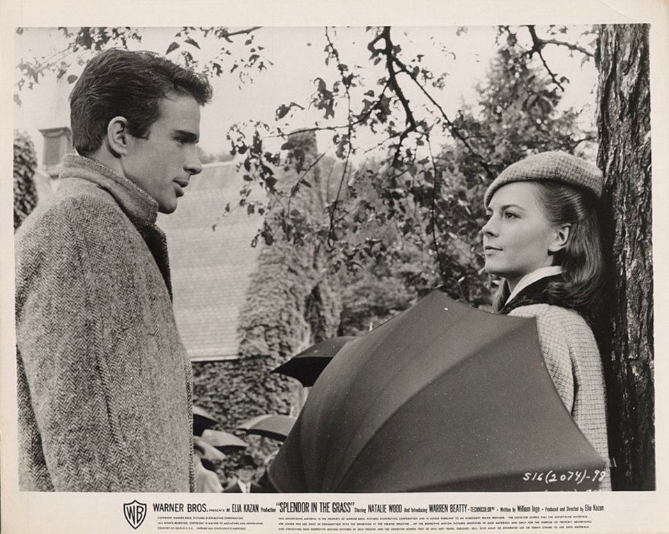 Splendor in the Grass Original 1961 U.S. Silver Gelatin Single-Weight Photo