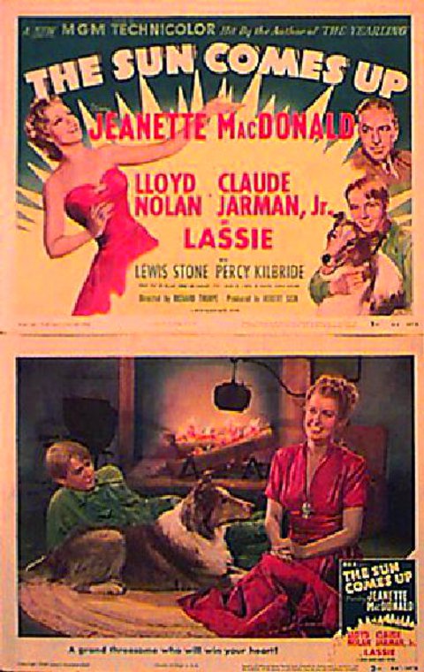 The Sun Comes Up Original 1948 U.S. Lobby Card Set