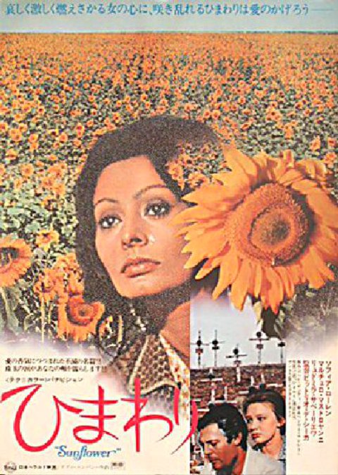 Sunflower Original 1974 Japanese B2 Movie Poster