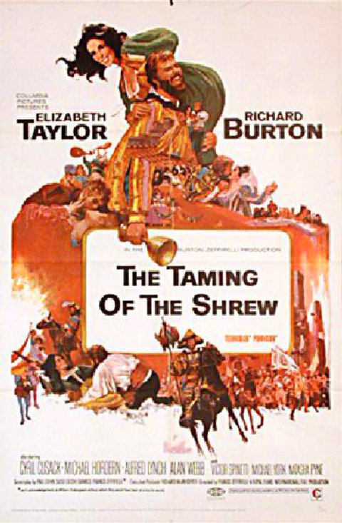 The Taming of the Shrew Original 1967 U.S. One Sheet Movie Poster