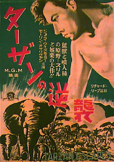 Tarzan Escapes Original 1940s Japanese B3 Movie Poster