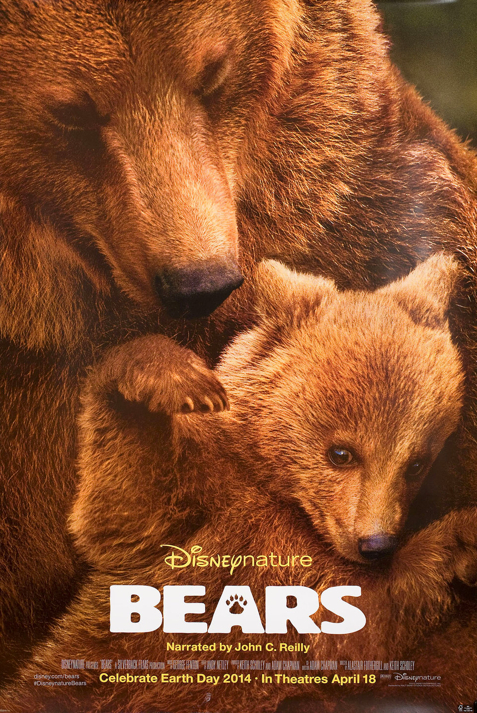 Bears Original 2014 U.S. One Sheet Movie Poster