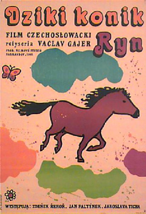 DZIKI KONIK RYN Original 1981 Polish B1 Movie Poster