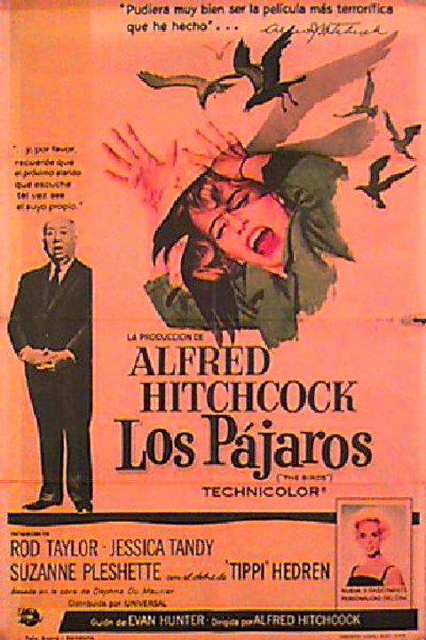 The Birds 1963 Spanish B1 Poster