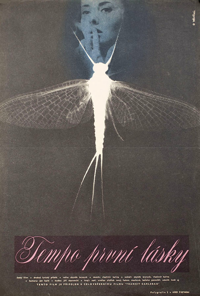 Rhythm of First Love 1966 Czech A3 Poster