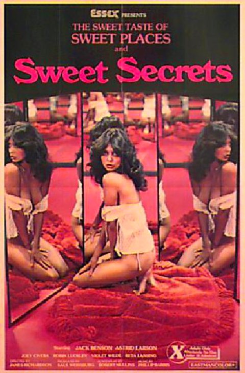 SWEET SECRETS Original 1970s U.S. One Sheet Movie Poster