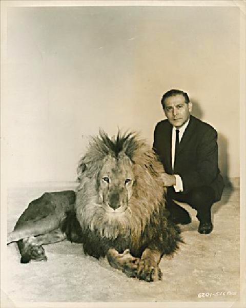 Black Zoo Original 1963 U.S. Silver Gelatin Single-Weight Photo