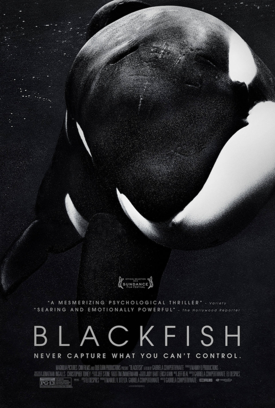 Blackfish Original 2013 U.S. One Sheet Movie Poster