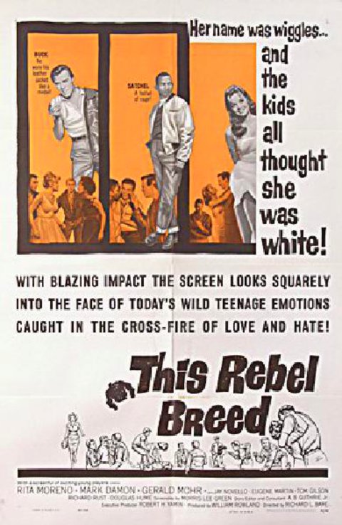 This Rebel Breed Original 1960 U.S. One Sheet Movie Poster