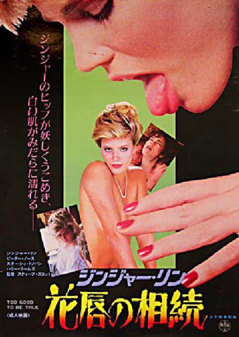 TOO GOOD TO BE TRUE Original 1984 Japanese B2 Movie Poster