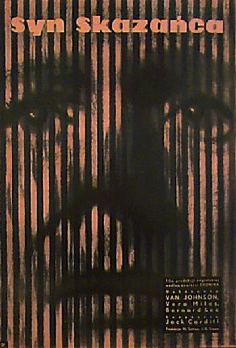 Web of Evidence Original 1962 Polish A1 Movie Poster