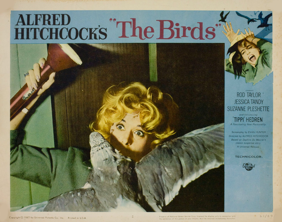The Birds Original 1963 U.S. Scene Card