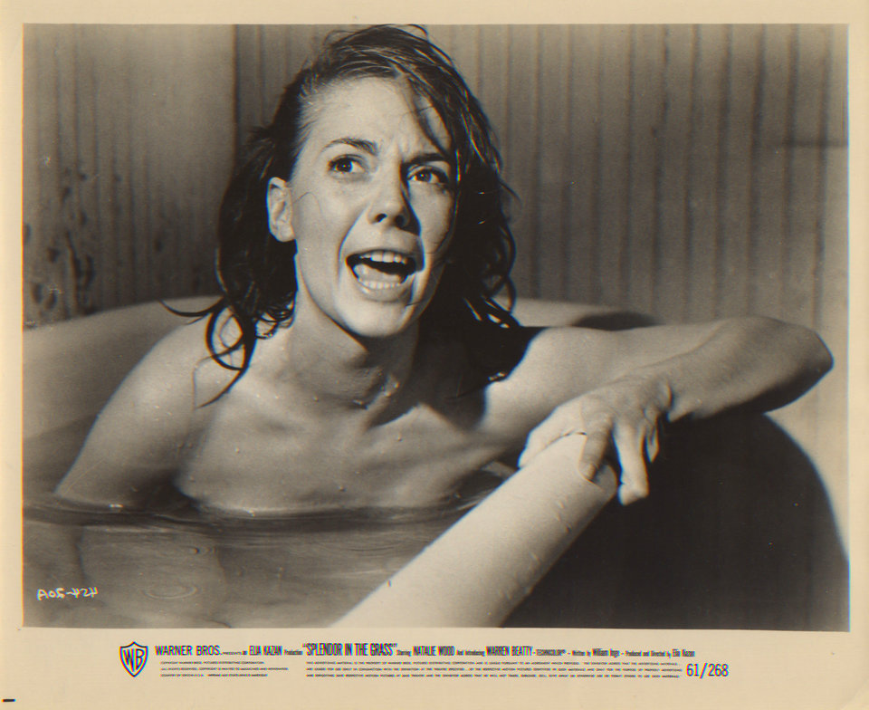 Splendor in the Grass Original 1961 U.S. Silver Gelatin Single-Weight Photo