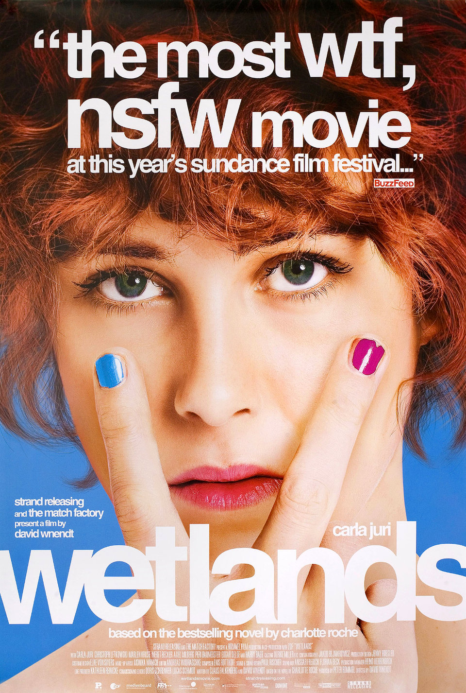 Wetlands Original 2014 U.S. One Sheet Movie Poster