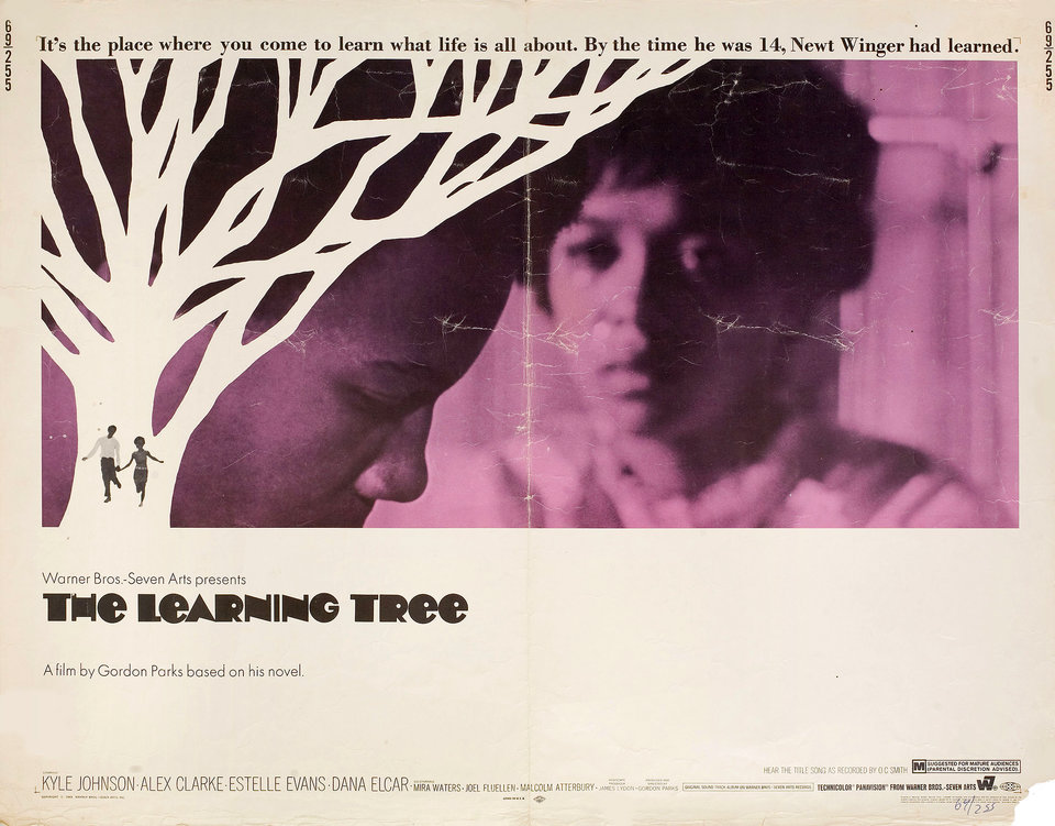 The Learning Tree Original 1969 U.S. Half Sheet Movie Poster