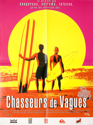 The Endless Summer 2 (1994) Original Movie Posters - Posteritati