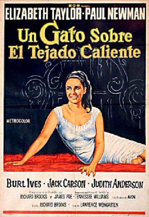 Cat on a Hot Tin Roof Original R1960s Argentine Movie Poster