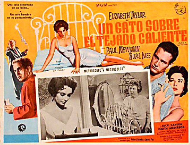 Cat on a Hot Tin Roof Original R1970s Mexican Scene Card