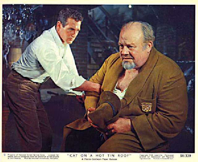 Cat on a Hot Tin Roof Original 1958 U.S. Color Photo