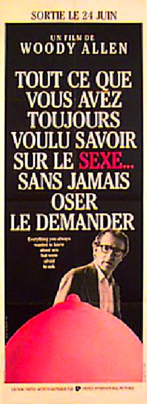 Everything You Always Wanted to Know About Sex Original 1972 French Pantalon Movie Poster