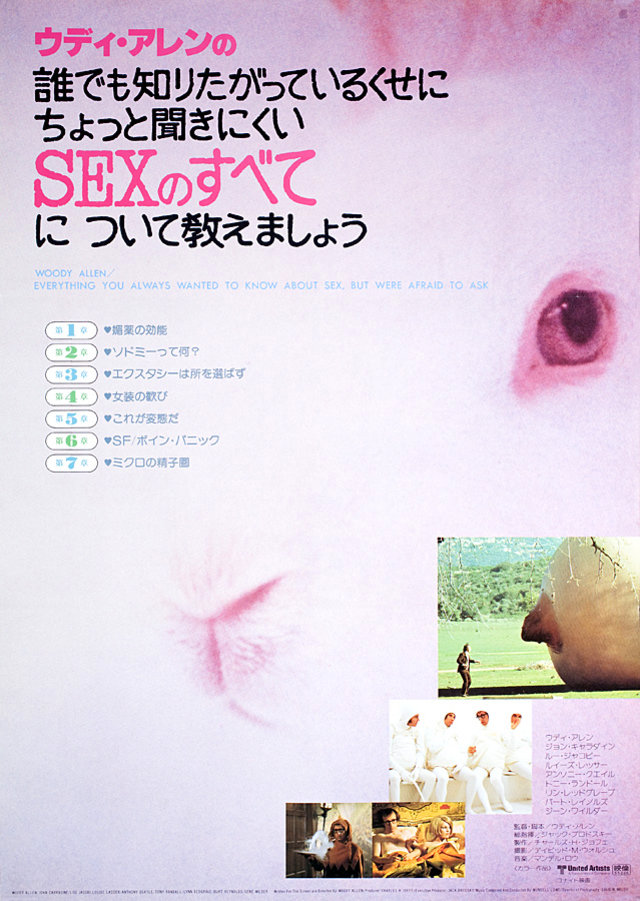 Everything You Always Wanted to Know About Sex Original 1980 Japanese B2 Movie Poster