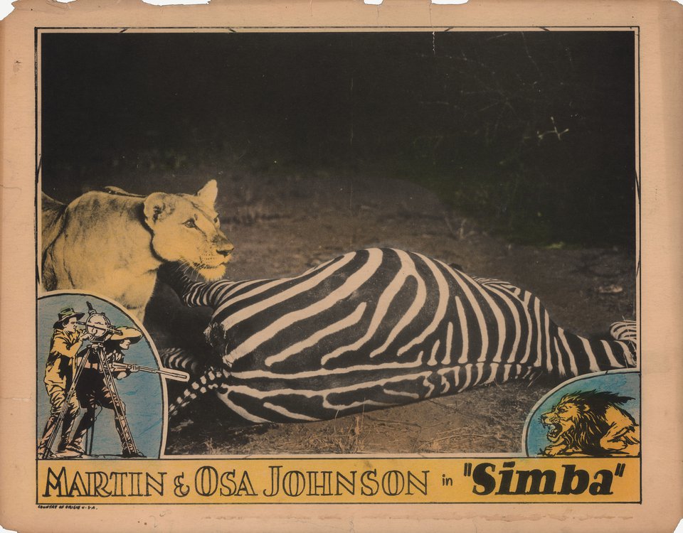 Simba: The King of the Beasts Original 1928 U.S. Scene Card