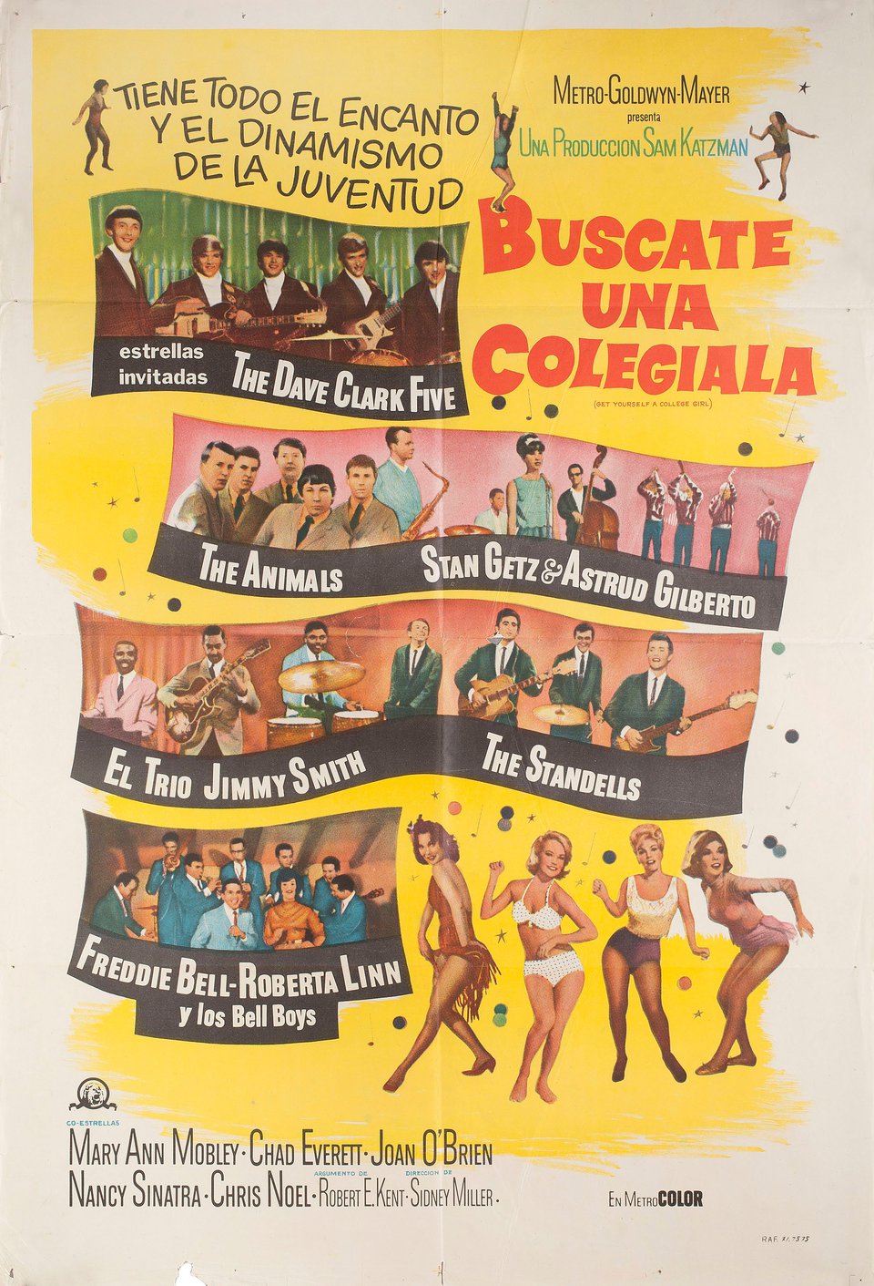 Get Yourself a College Girl Original 1974 Argentine Movie Poster