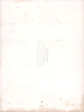 Brigitte Bardot Original 1960s French Wire services photo Alternate Image