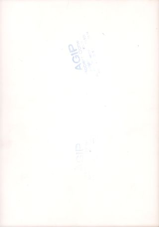 Brigitte Bardot Original 1960s French Wire services photo Alternate Image