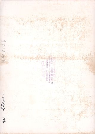 Brigitte Bardot Original 1960s French Wire services photo Alternate Image