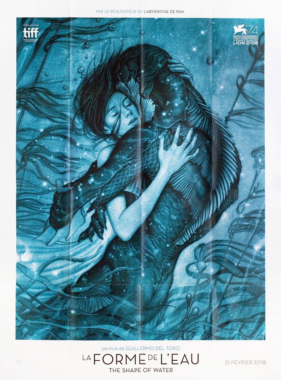 The Shape of Water Original 2018 French Grande Movie Poster